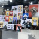 오호라사진관 이미지
