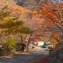이번역은 무주입니다. 늦가을 캠핑🏕️ ’깊은골캠핑장‘ 11월 중순 A사이트 후기(A-11) | 몰티하우스맥스