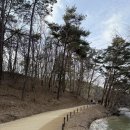 금광 아파트옆 | 안성 가볼만한곳 금광호수 둘레길, 하늘전망대 산책