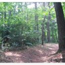 송내공원 이미지