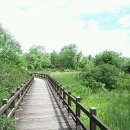 대원투어 이미지