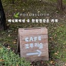 라온중고등학교 | 평택 송탄 카페 ・ 포근한 애니메이션 속 한 장면 같은 공간 ・ 포푸리숲