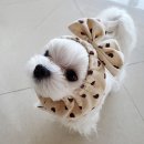 (주)리얼사인 이미지