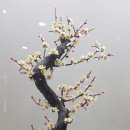 속초시립박물관 이미지