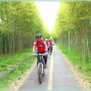 시흥대교 이미지