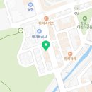 대전고양이분양 비비냥 이미지