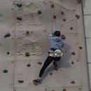 진경태양광 | 현실도 pizza? 4월