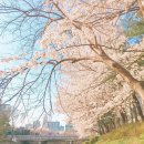 승월마을회관 이미지