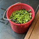 오리사냥 | 구미오리맛집 천생산오리사냥 다녀온 후기 구미 여행3탄