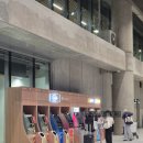주주비어 | 세부퍼시픽 항공 5J131,5J130 탑승 후기 (막탄 공항 ATM 위치 꿀팁)