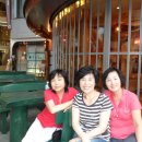 일본여행 첫날 일행들과 고베 항구도시 이지간거리 구경하고 저녁식사 샤브샤브 음식점 앞에서 일행들과 함께....^*^ 2010년 9월8일 이미지