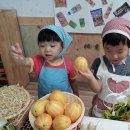 두울마트 Daum카페