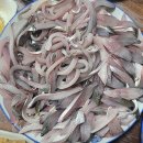 한백수산회센타