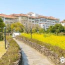 "1999년부터 현재까지도 보존된 벤치 명소" 제주 해안 절경 여행지 이미지