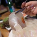 싱싱 오징어 바다 이미지