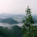 아라평화
