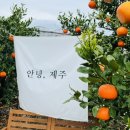 물고기자리게스트하우스민박 이미지