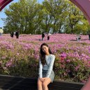 메이윤 촉감대박 꽈배기 가디건 내돈내산 후기