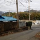 동향교1길 이미지