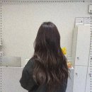 모뮤토 이미지