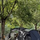 무릉도원 | 경남 양산 오토캠핑장 무릉도원 A5 내돈내산 후기