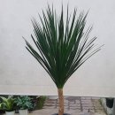 새당진공인중개사사무소 이미지