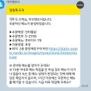일호파크 | [야구] 250521-250522 kt 위즈파크 외야 티빙테이블석 직관 후기 505구역 503구역 (vs 기아타이거즈)