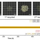 협성개발(주) 이미지