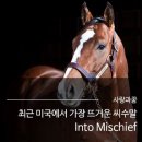 마수목장 이미지