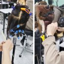 현 헤어 이미지