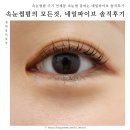 속눈썹펌 주기 인계동 속눈썹 잘하는 네일파이브 솔직후기
