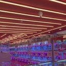 사상게임랜드 이미지