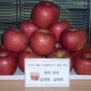 김국환농장 이미지