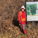 치악산둘레길 7코스 싸리지옛길 이미지