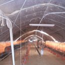 오탄농장 이미지