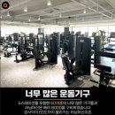 화이트짐 강동점 네이버블로그