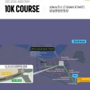 2025 서울 동아마라톤(동마10km)준비 과정(발목부상)과 완주 후기