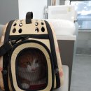 중마동물병원 이미지