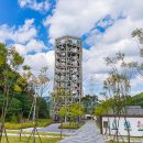 오로라파크 눈꽃전망 이미지