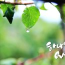 신천지PC 이미지