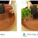 녹색인테리어 이미지