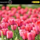 남중동-44 이미지