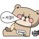 호림상회 - 2821 | 호림상회