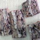 힐링 생활 꽃장식 이미지