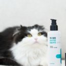 우리 덴탈랩 이미지