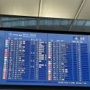 동재약국 | 11월의 치앙마이 - 1 💚