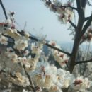 지리산명성농원