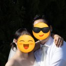 까치헤어 - 강진군 백도로 1548 | [다들스타일] 웨딩촬영 웨딩스냅 헤어변형 후기 | 앞머리 정리, 로우테일, 까치번 | 감성적인 스타일링