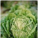 비타민한의원 이미지