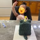 냐옹냐옹고양이카페 | 경주 사정동 디저트 카페 고양이케이크 크림댄스